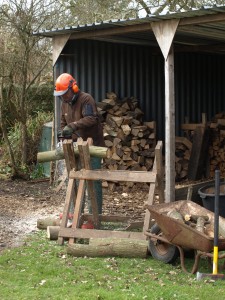 Planting for firewood.  Photo from Woodland Trust Picture Library